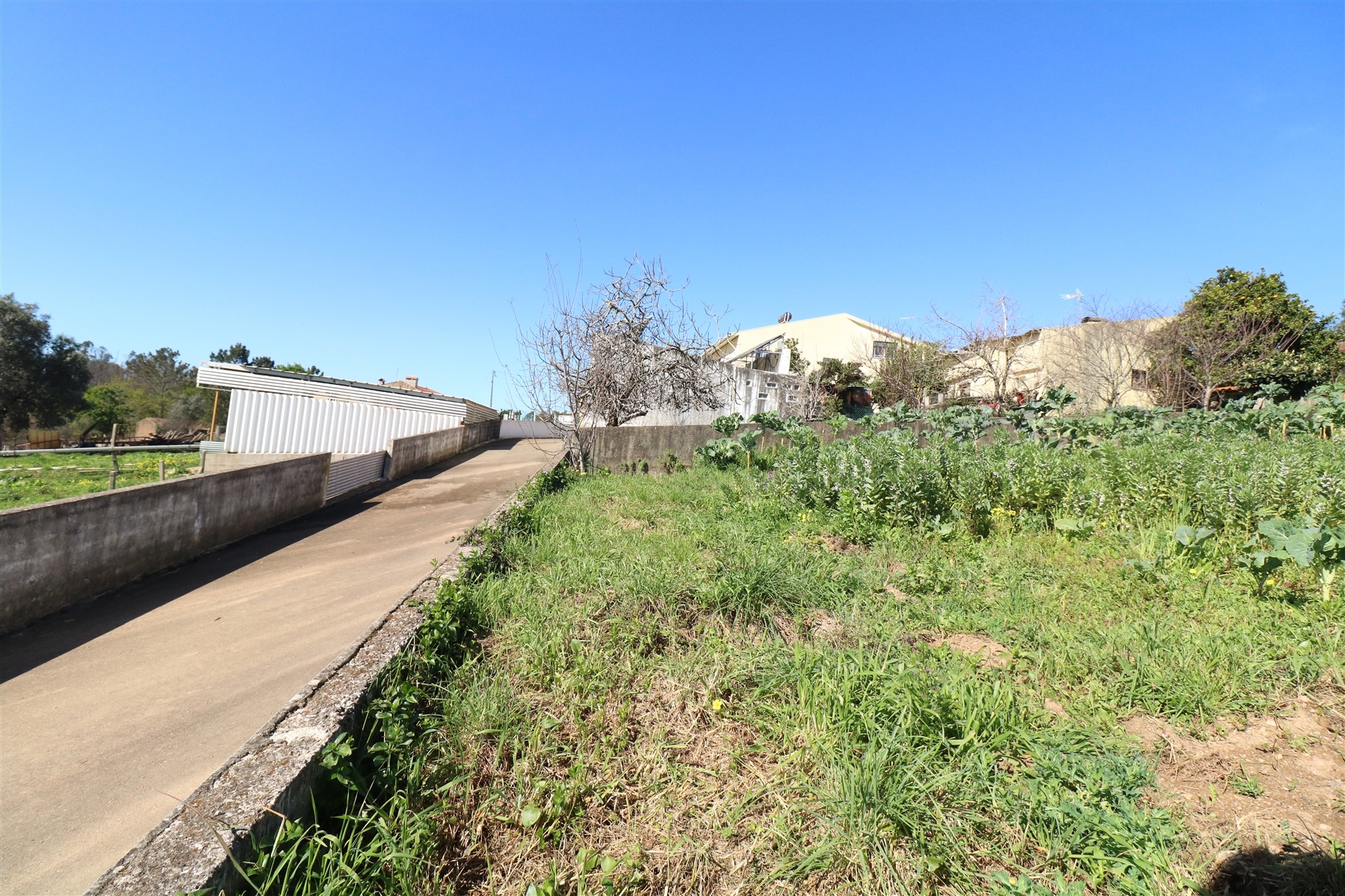 Terreno para Construção em Canelas, Estarreja