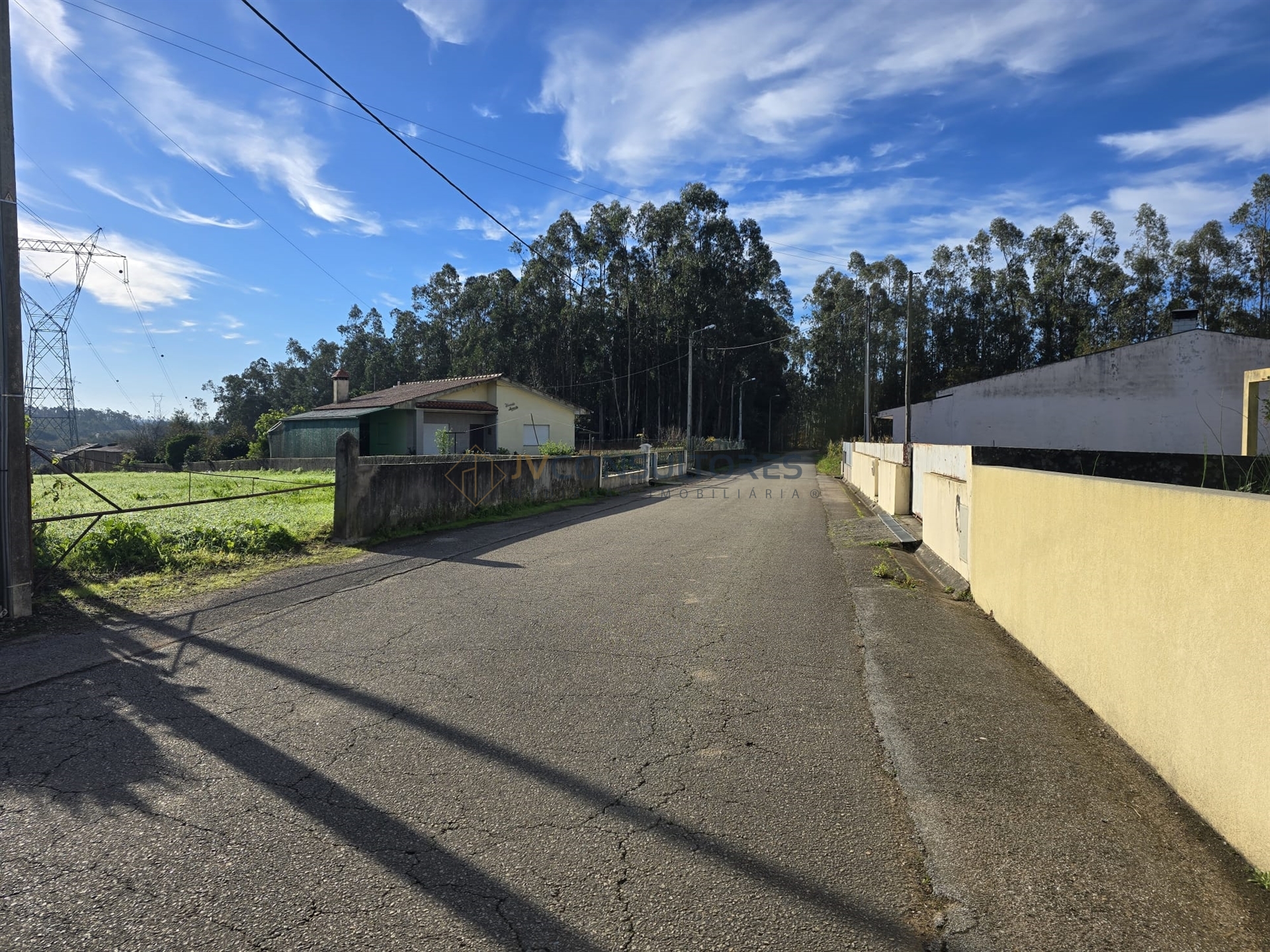 Oliveira de Azeméis