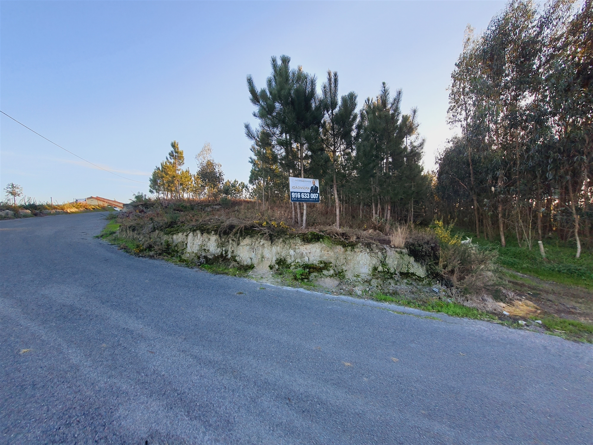 Terreno em Fermelã, Estarreja com 50 metros de frente.