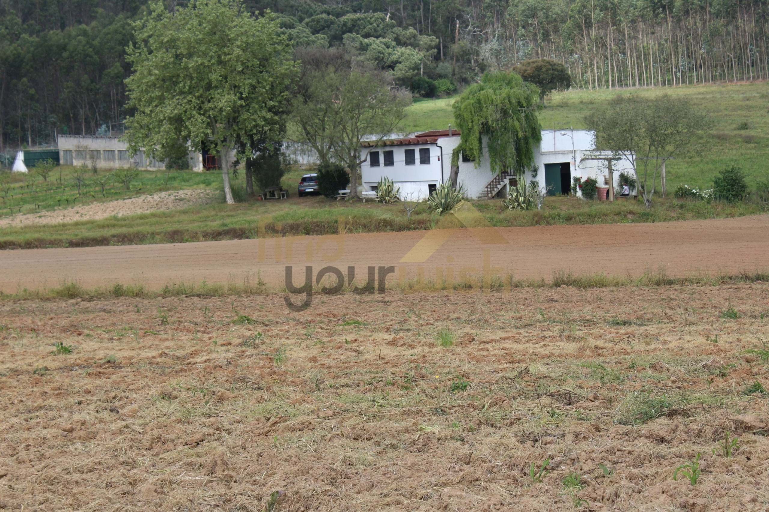Fantástica Quinta para investimento moradia T2 e 3 hectares