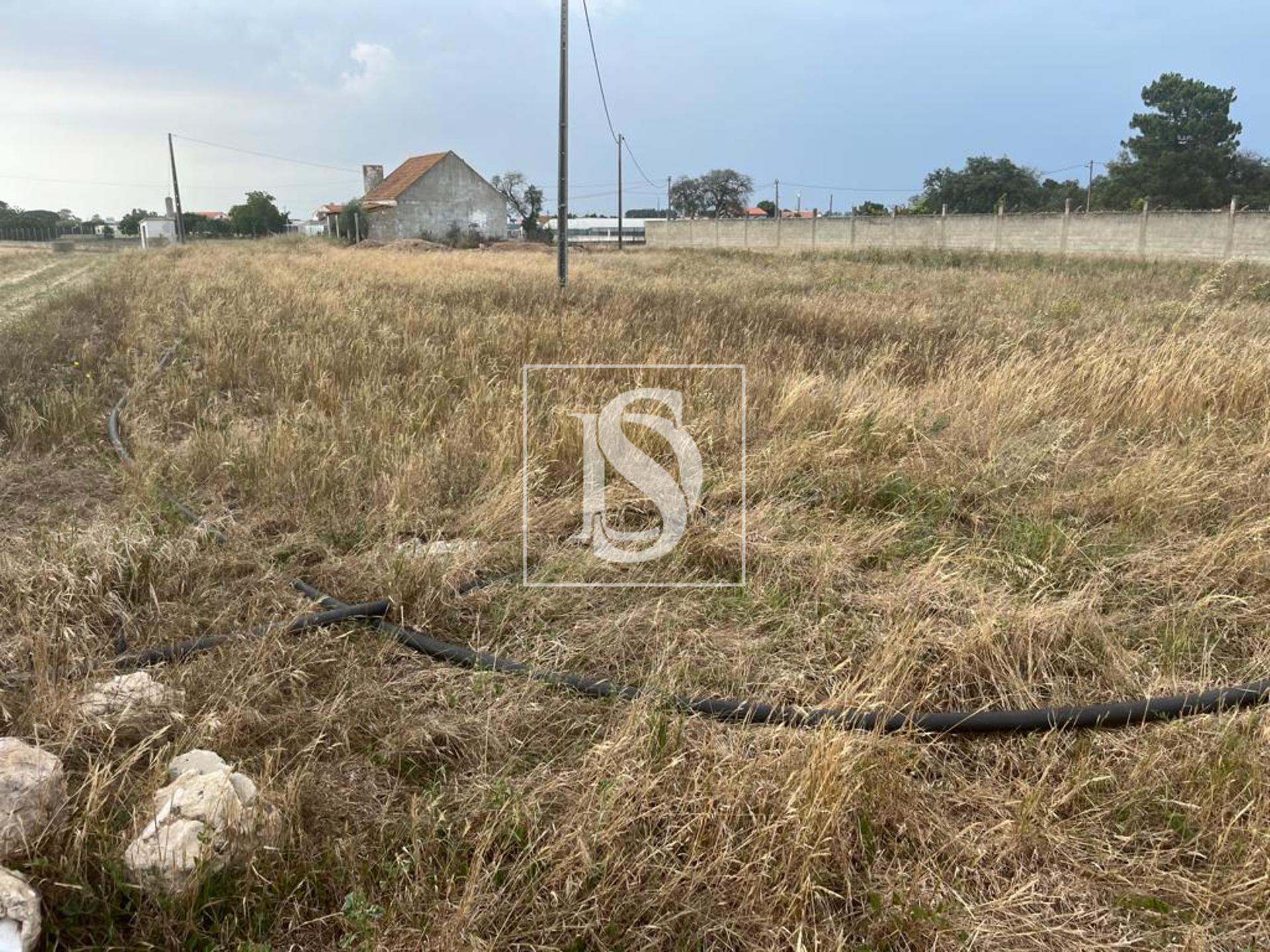 Quinta T2+1 Venda em Quinta do Anjo,Palmela — foto 3