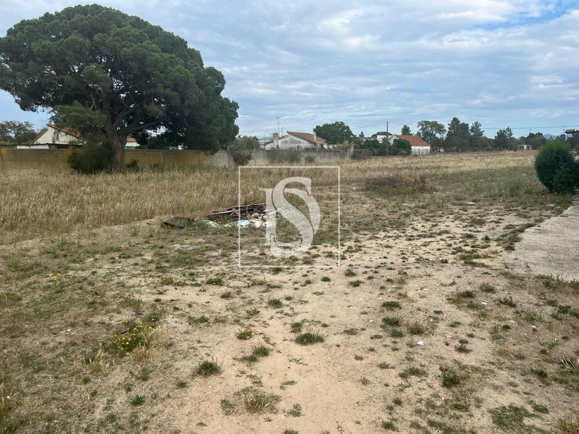 Quinta T2+1 Venda em Quinta do Anjo,Palmela — foto 4