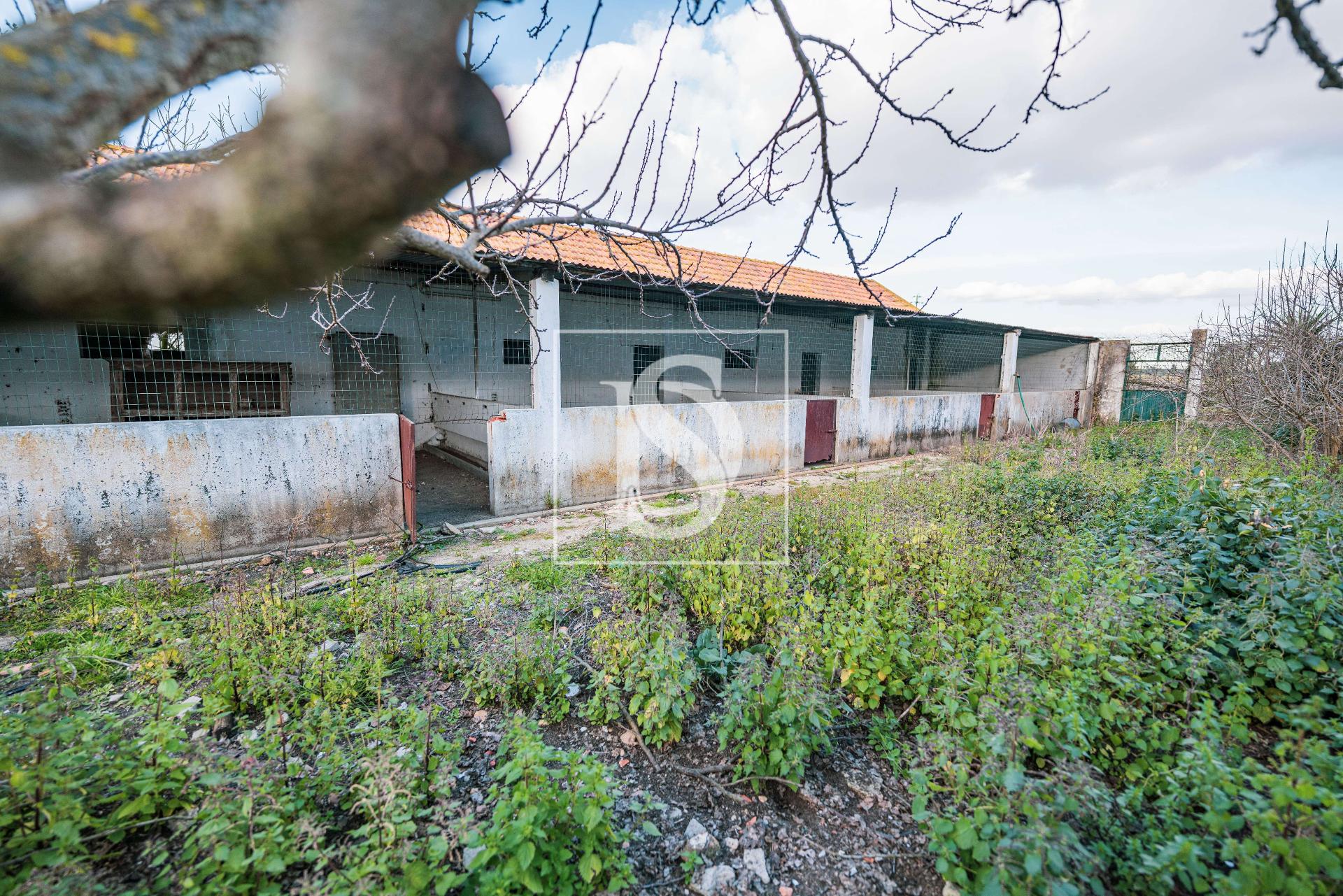 Herdade T3+2 Venda em Poceirão e Marateca,Palmela — foto 3