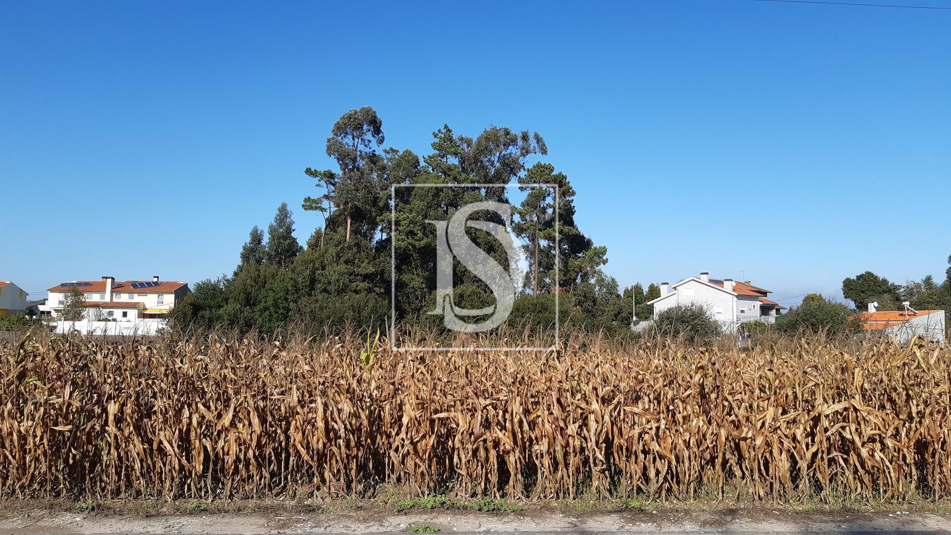 Terreno Venda em São Bernardo,Aveiro