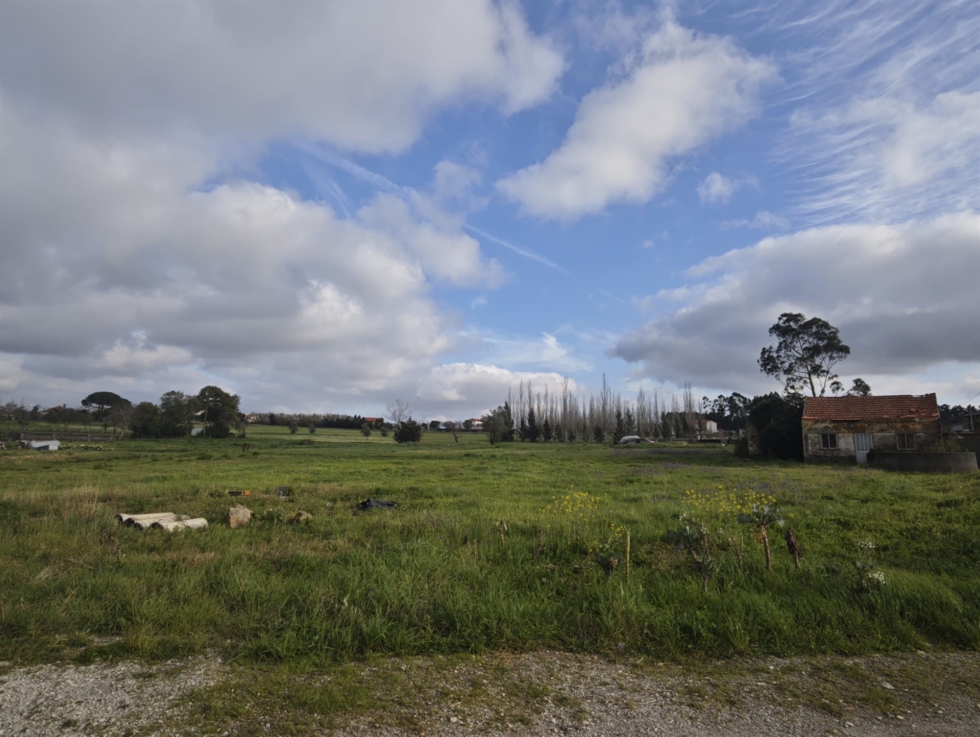 Terreno Urbano Venda em Seixo de Gatões,Montemor-o-Velho